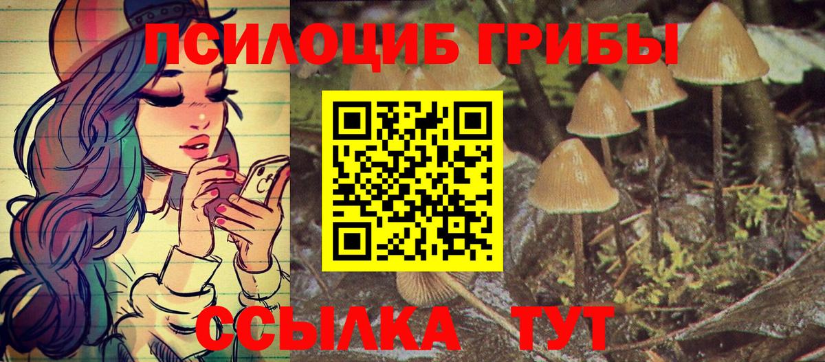 Галлюциногенные грибы MAGIC MUSHROOMS  Вход с VPN  Ялта  Псилоцибиновые грибы GOLDEN TEACHER 